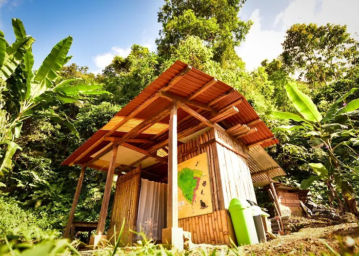 Lodge Manu Endemic Lodge Reserve