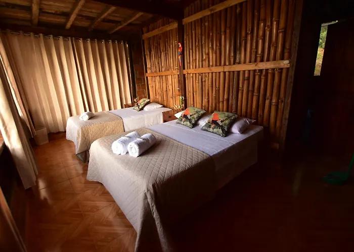 Manu Endemic Lodge Reserve Lodge *