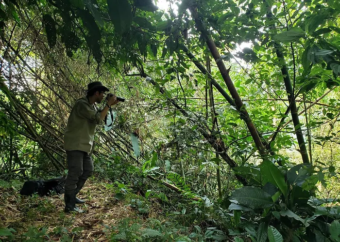 Manu Endemic Lodge Reserve *