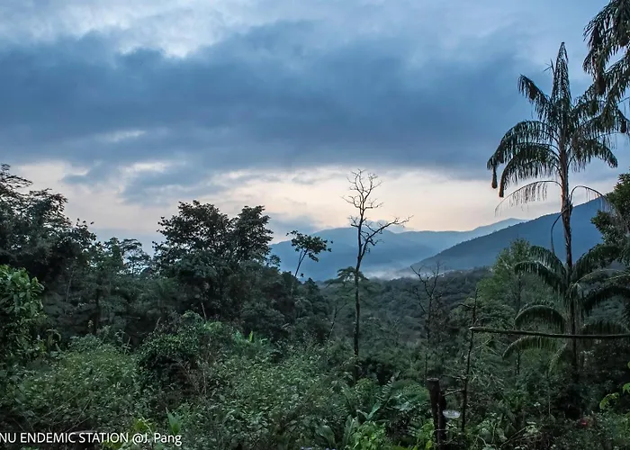 Lodge Manu Endemic Lodge Reserve