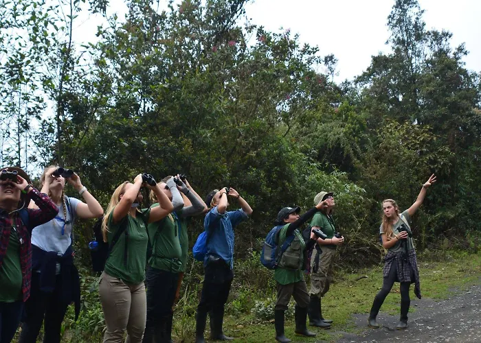 Lodge Manu Endemic Lodge Reserve *