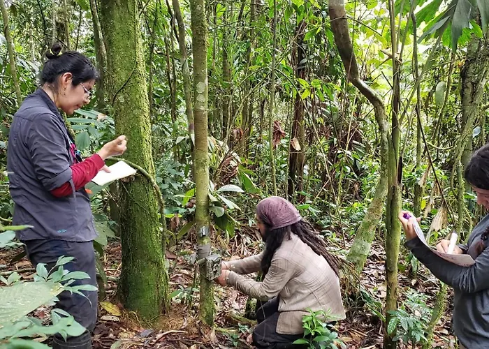 Manu Endemic Lodge Reserve